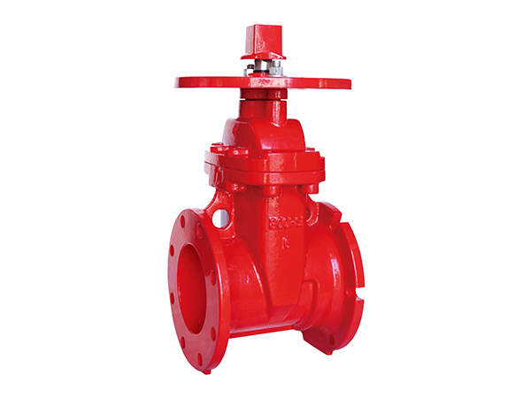 Resilient Wedge NRS Gate Valve-Flanged x Mechanical Joint End