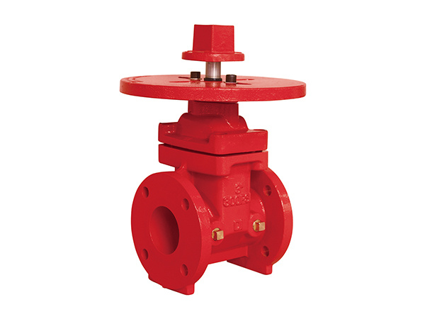 300PSI NRS Gate Valve Flange type Z45-300
