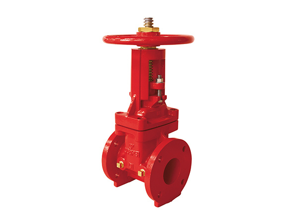 300PSI OSY Gate Valve Z41-300