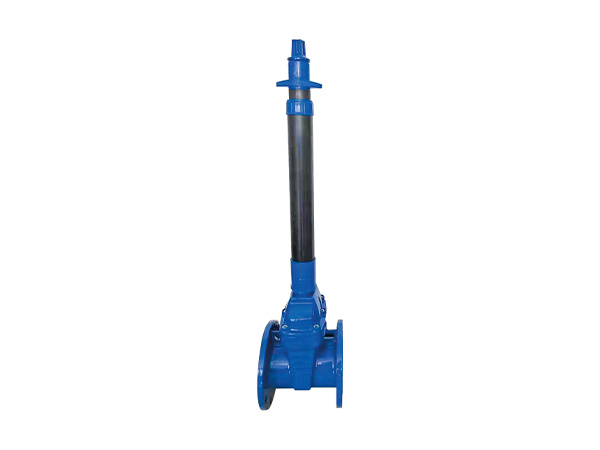 NRS Gate Valves