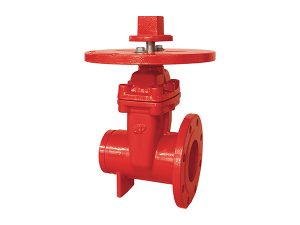 200 PSI NRS Flange and groove Gate