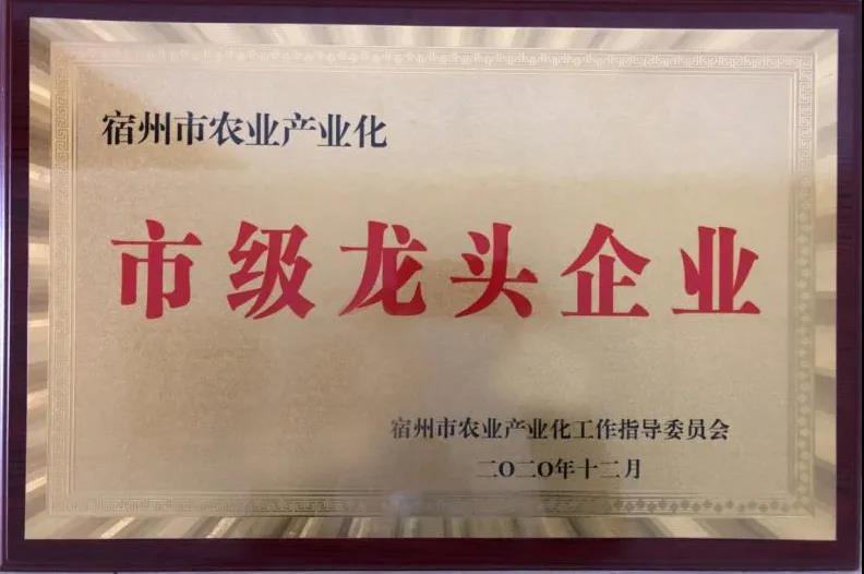 Jinqi Information | Anhui Jinqiao was awarded the title of "Suzhou Municipal Leading Agricultural Industrialization Enterprise"