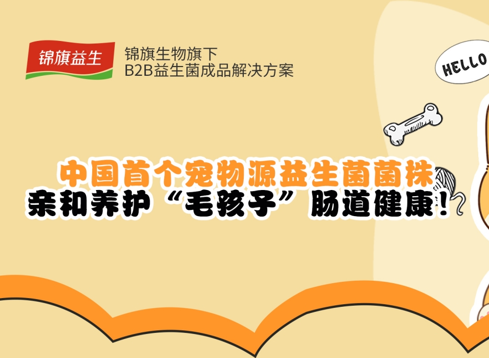 中国首个宠物源益生菌菌株，亲和养护“毛孩子”肠道健康
