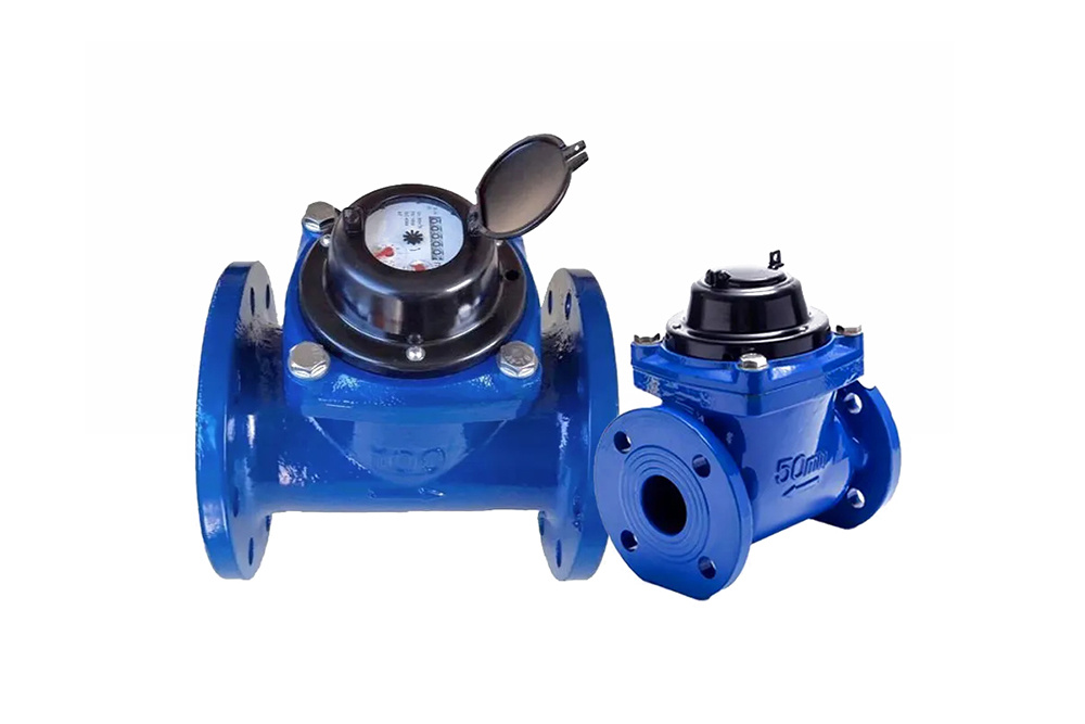 Removable Dry Dial Woltman Type Flange Ended Water Meter