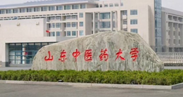 山东中医药大学项目