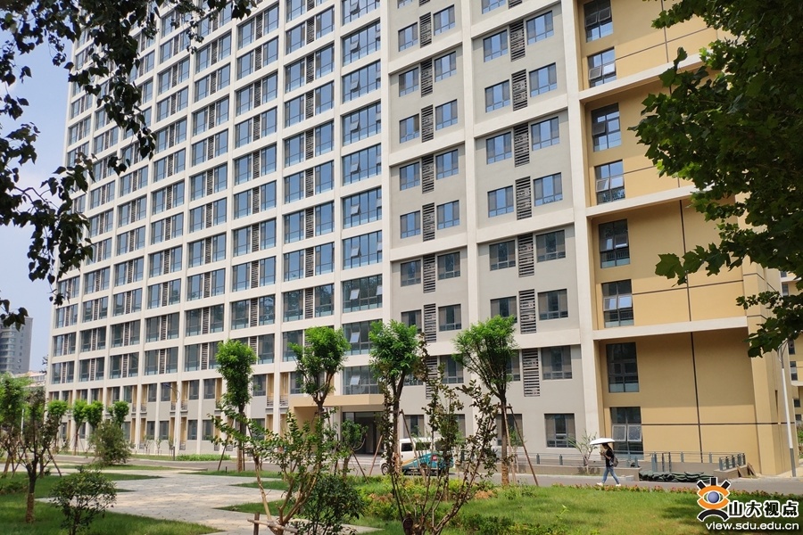 山东大学项目