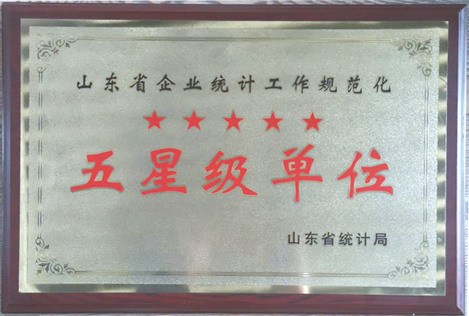 五星级企业