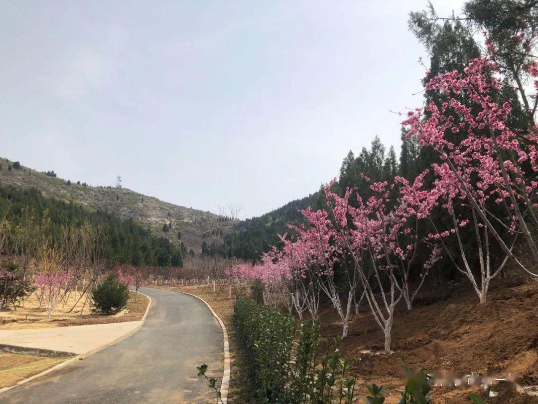 历城区彩石片区北寺山周边市政路项目