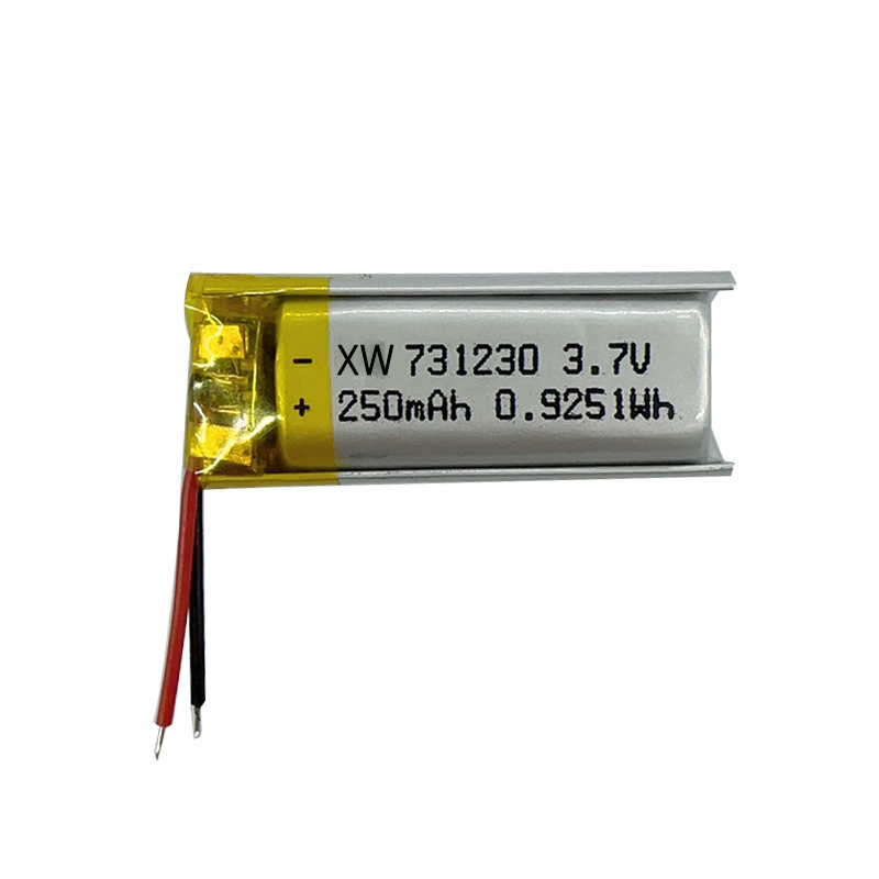 731230-250-PACK