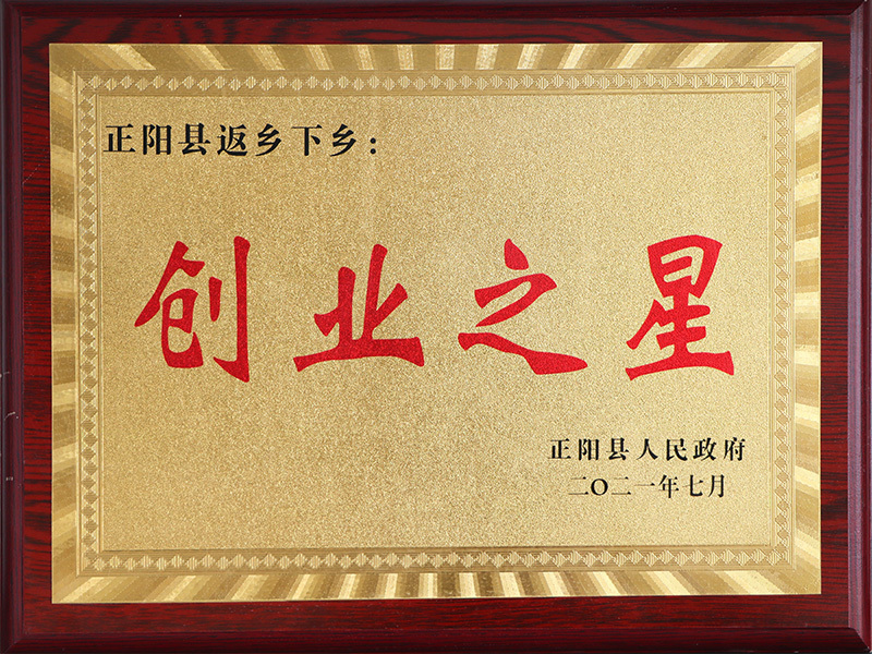 创业之星