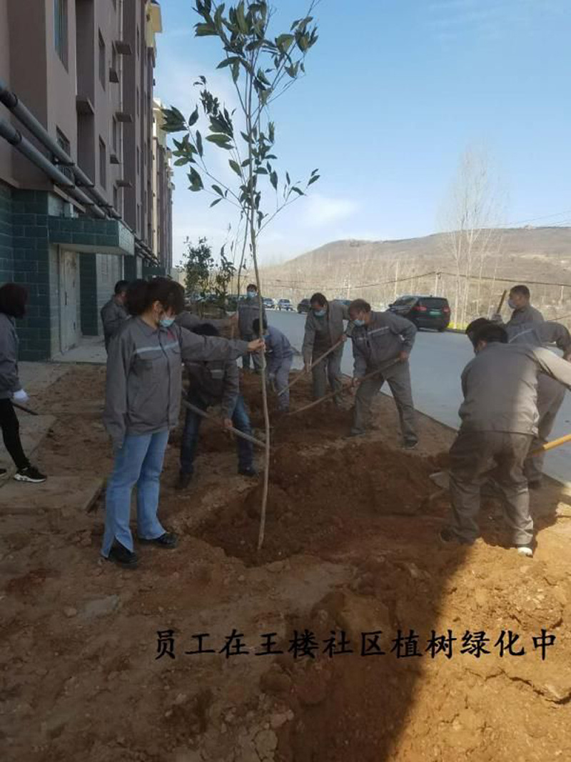 植樹節(jié)