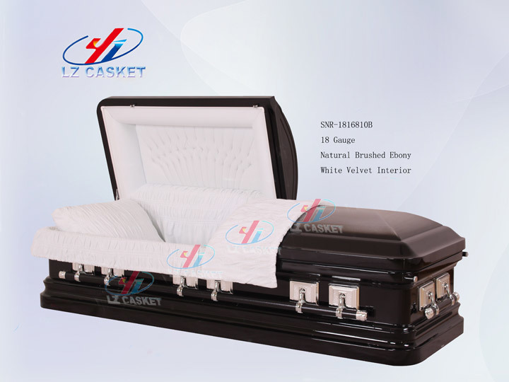 SNR-1816810B