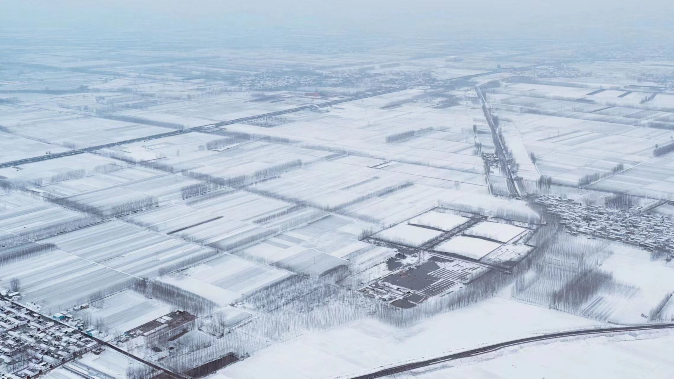 寒潮雨雪來襲   農(nóng)田小麥應(yīng)對措施