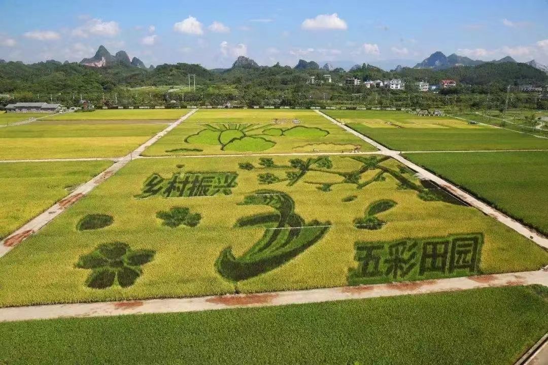 高標準農田的重要性