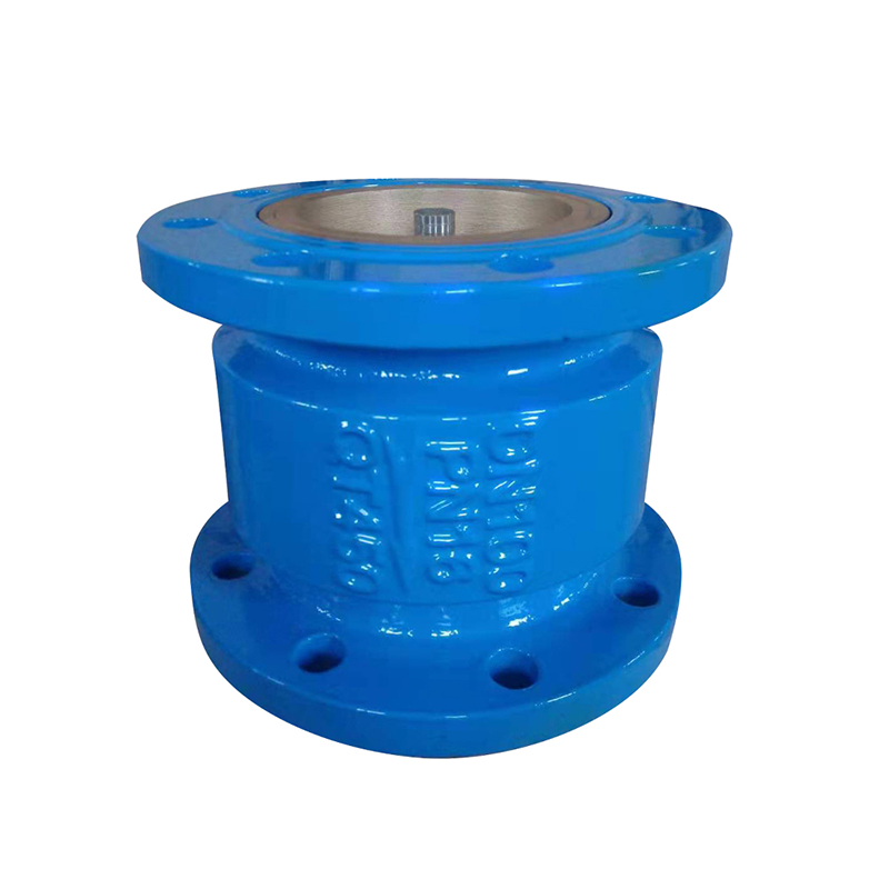 Noise elimination check valve