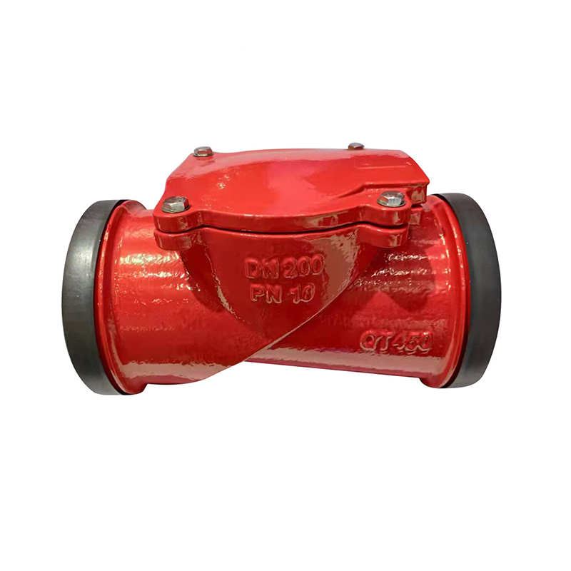 Grooved rubber flap check valve
