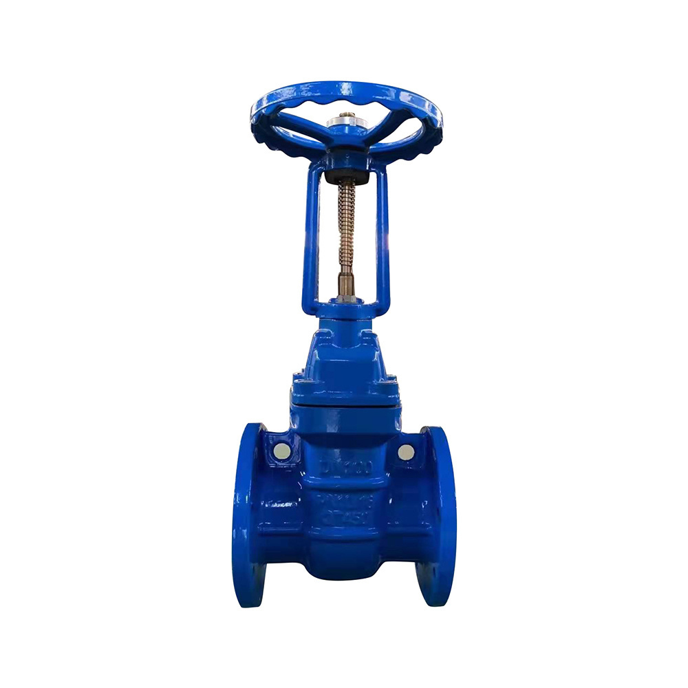 Rising stem resilient seated gate valve