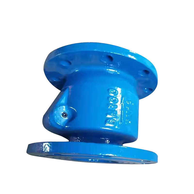 New type check valve