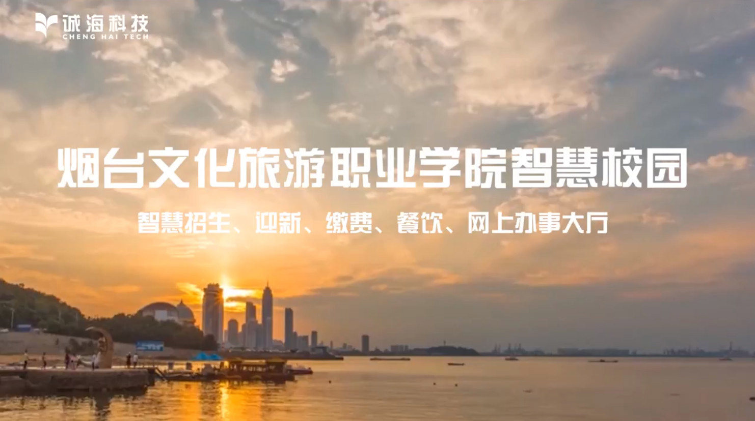 视频标题