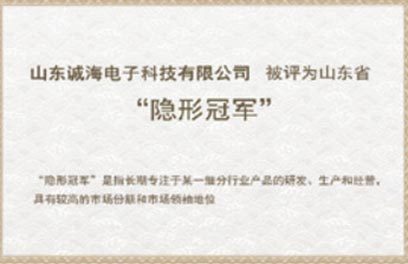 山东省“隐形冠军”企业 山东省“隐形冠军”企业
