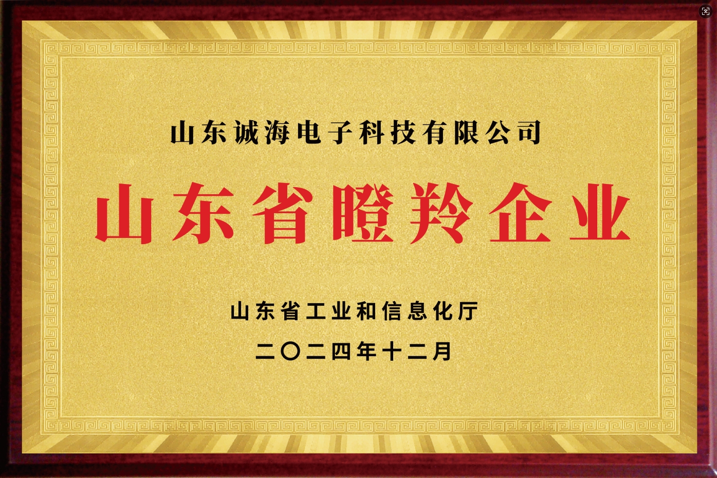 山东省“专精特新”中小企业 山东省“专精特新”中小企业