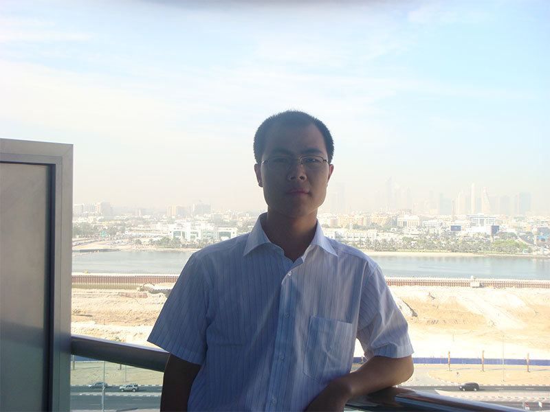 2008 dubai market survey