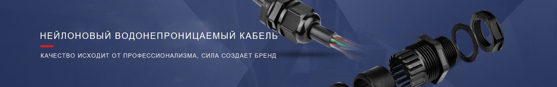 Внутренний баннер Внутренний баннер