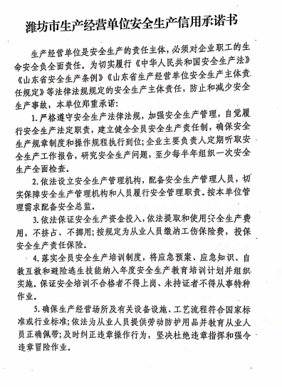 潍坊市生产经营单位安全生产信用承诺书