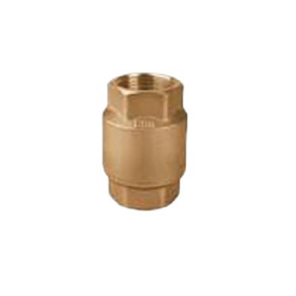 Bronze check valve
