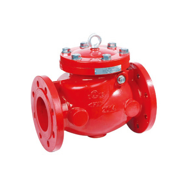 Swing check valve