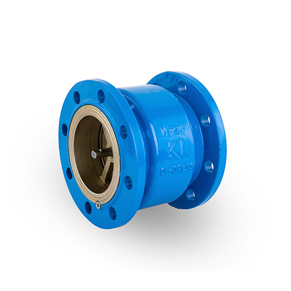 Silencer check valve