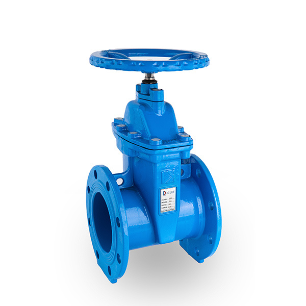 Dark rod elastic sealing gate valve