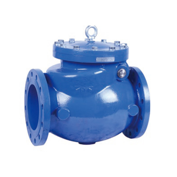 Swing check valve