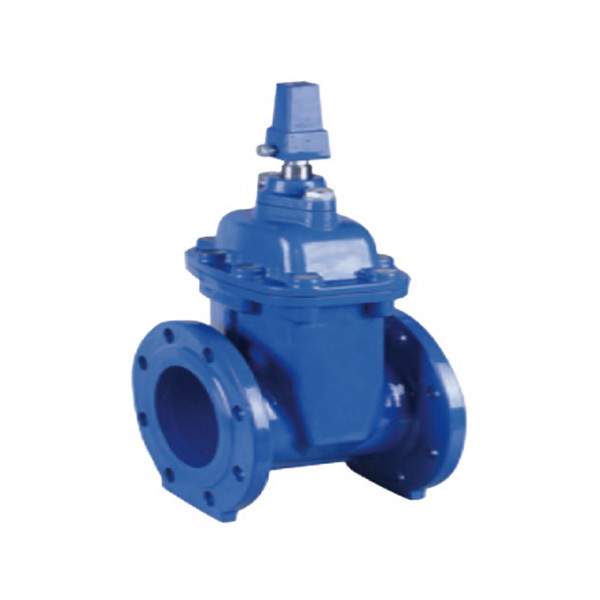 Gate valve with actuator