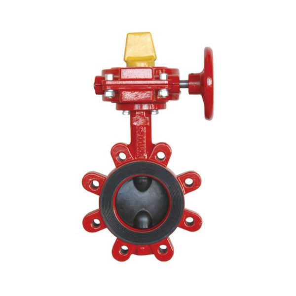 Lug type butterfly valve