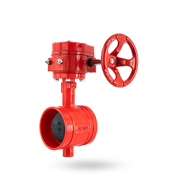 Lug type butterfly valve