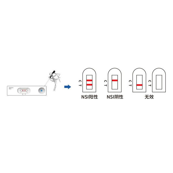 登革热系列快速检测试剂
