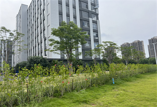 厂区环境