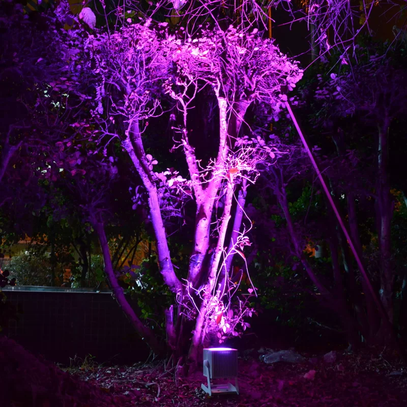 outdoor Halloween lights