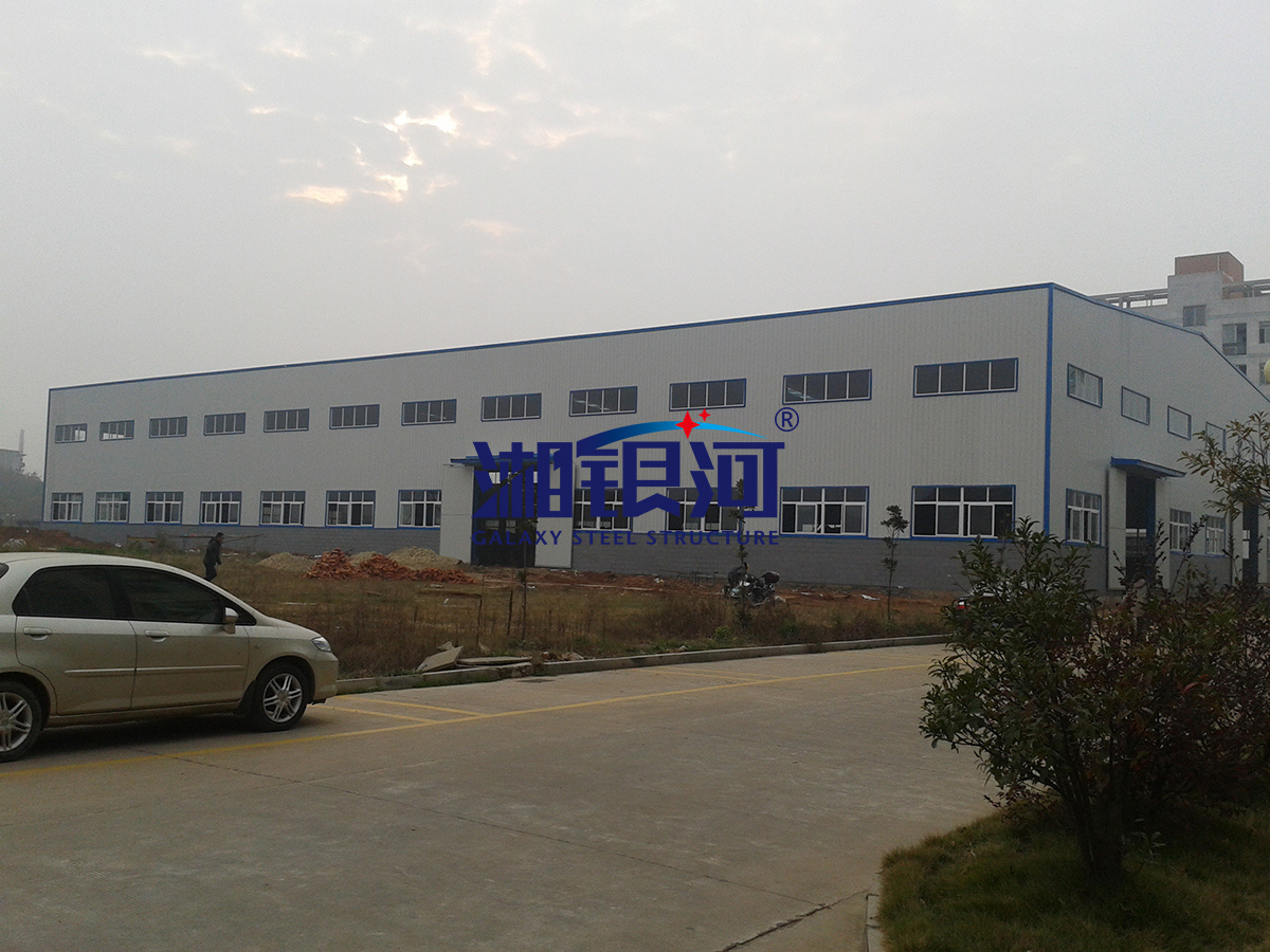 长沙豪丹生物科技有限公司结构厂房