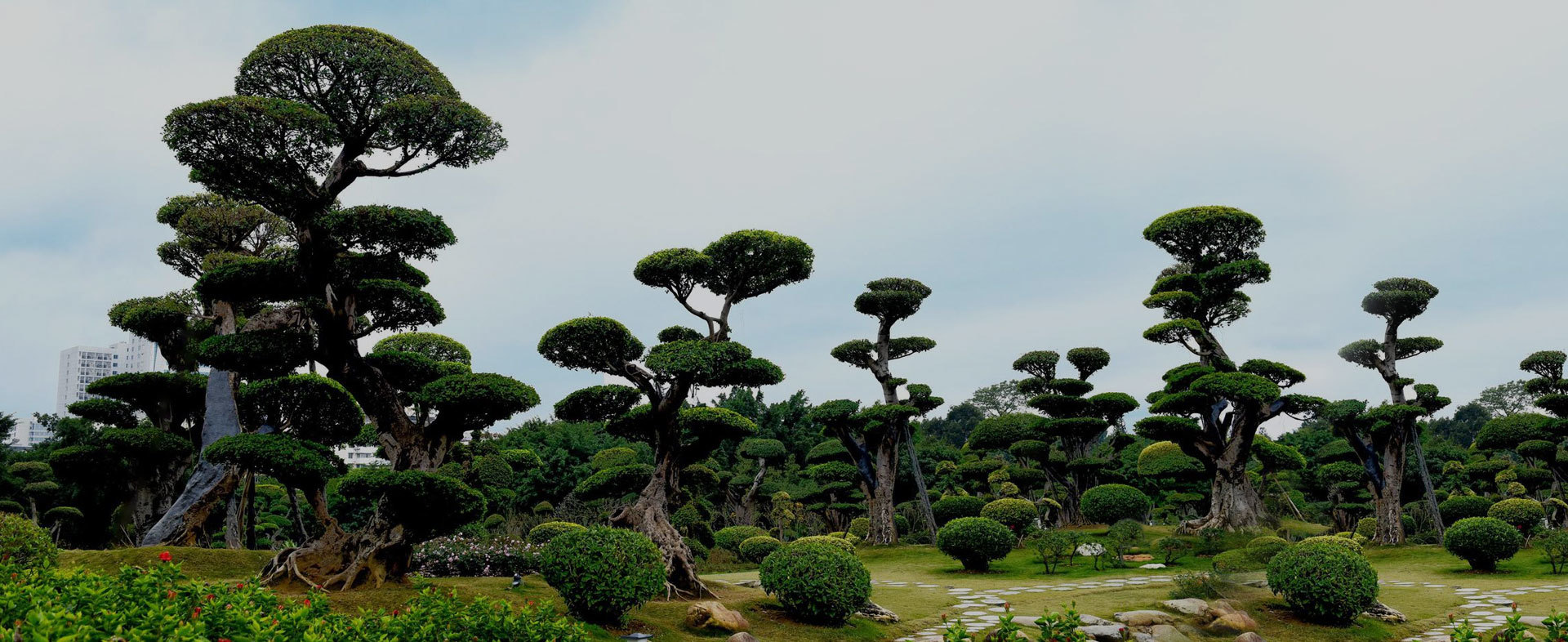 Gardens