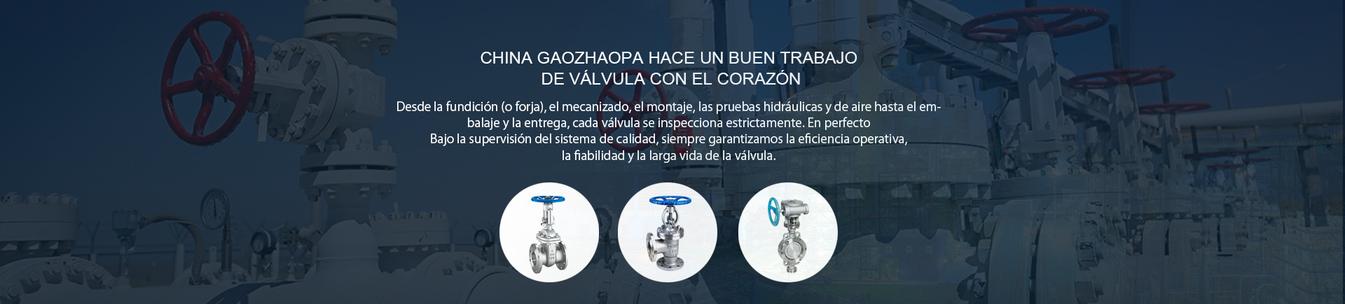 High Mpa Valve group