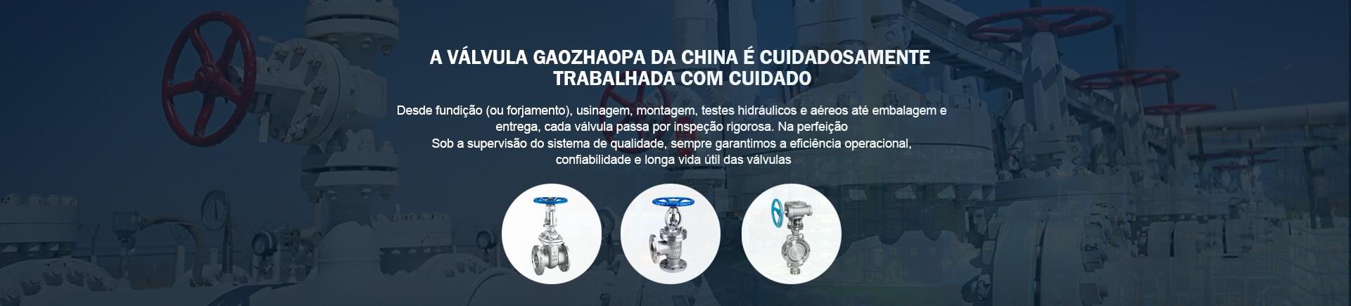 Grupo válvula alta Mpa
