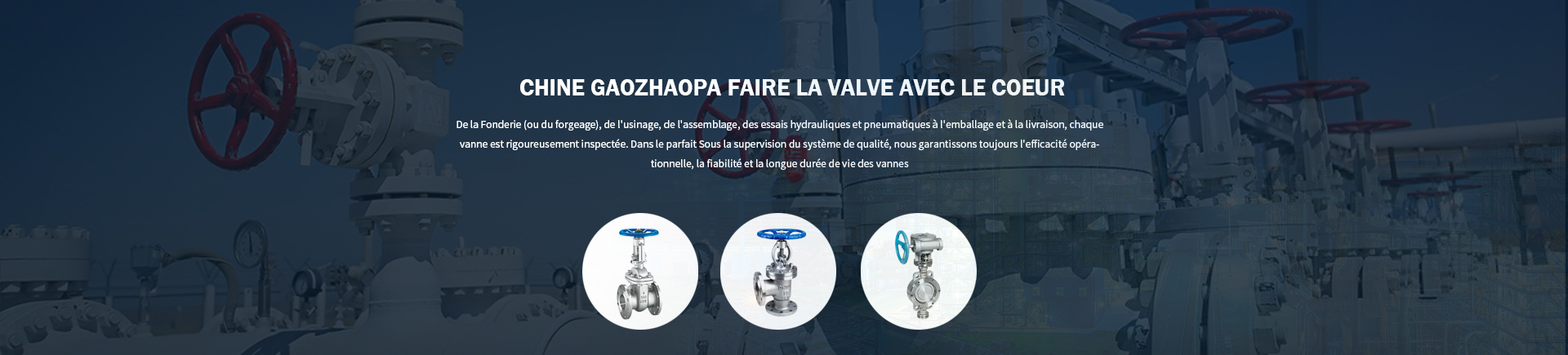 Groupe élevé de valve de MPA