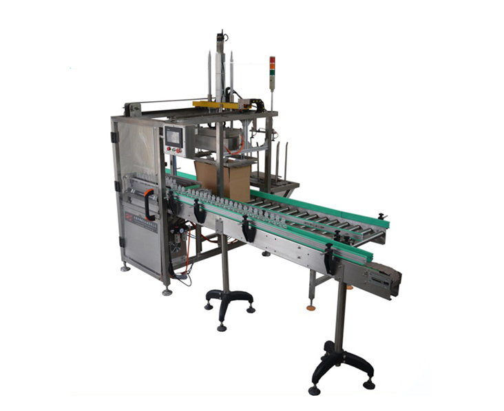 ZP-300 bottle packing machine