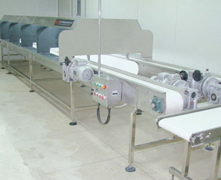 Large infusion soft bag light inspection line