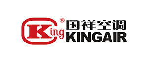国王飞机 国王飞机