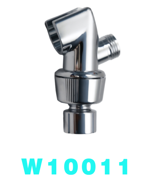 W10011