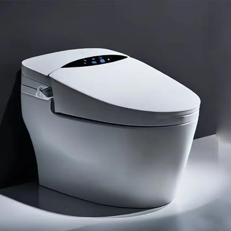 Smart Toilet system