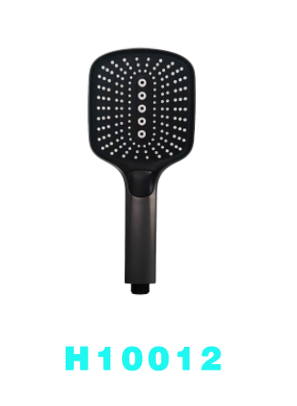 H10012